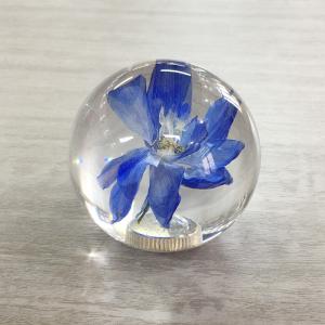 Dry Flower Gear Shift Knob , Dia70mm Clean Dandelion Gear Knob