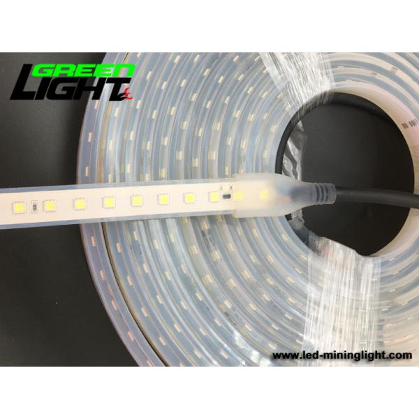 IP68 6500K SMD5050 Waterproof Led Strip Lights 12V RGB ATEX