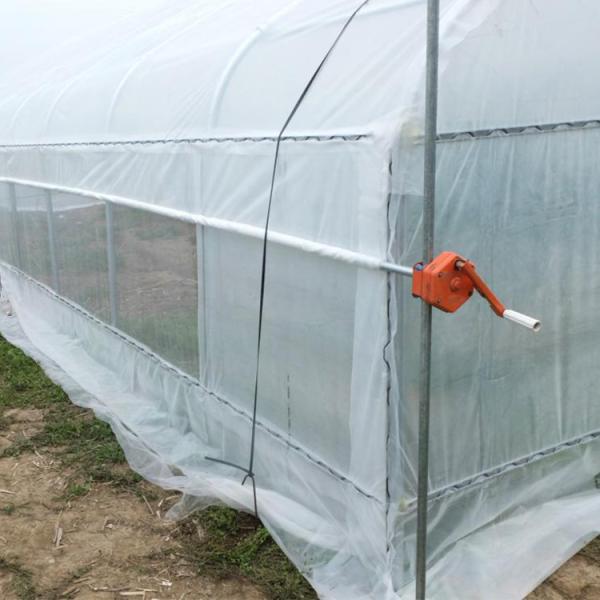 Plants Growing System Greenhouse Steel Pipe Structure Hoop Tunnel Plastic Greenhouse