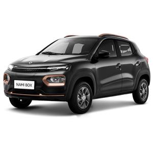 2023 DONGFENG Nami Box Energy Vehicle 4 Wheel Electric Car Adult Vehicle Made In