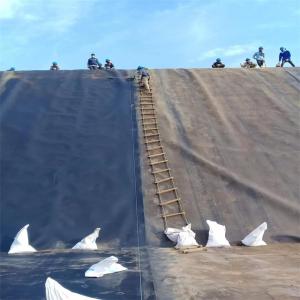 Professional HDPE Geomembranes for Landfill and Fish Farming Applications