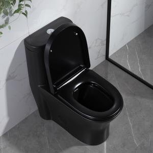 300mm Siphonic One Piece Toilet American Standard Black Porcelain
