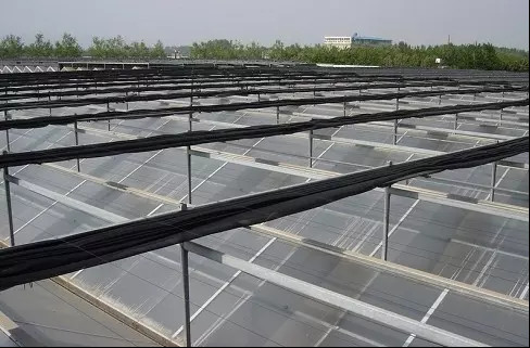Buy PC Sheet Commercial Outdoor Greenhouse , Cooling Pad Greenhouse Shading Systems at wholesale prices