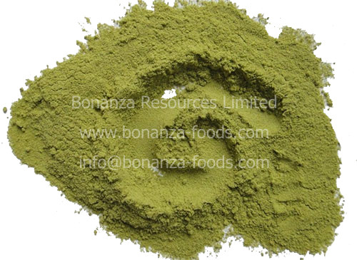 Buy Factory supply Freeze Dried Green Bell Pepper Powder at wholesale prices