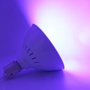 RGB Multicolor AC230V 35W Pentair Hayward Light Fixture