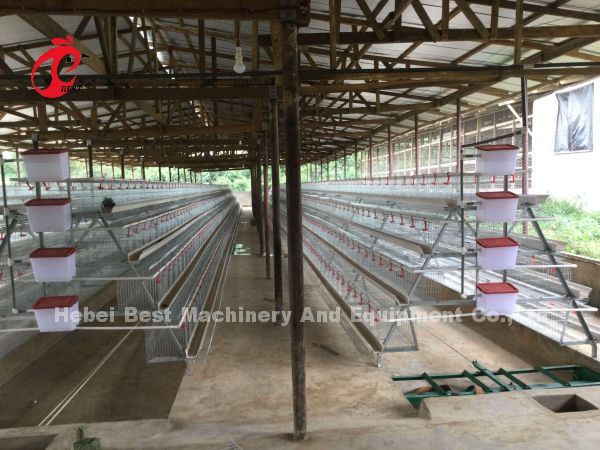Cold Galvanized Poultry Battery Cage System 40 doors Egg Laying Chicken Cage Adela