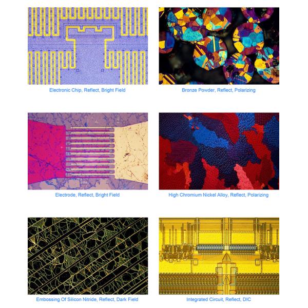 OPTO EDU A13.1096 Inverted Metallurgical Microscope Research Level