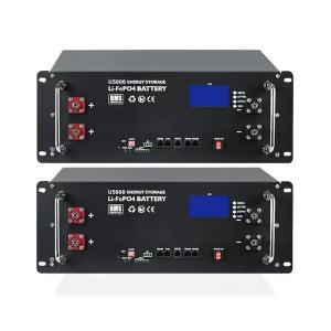 Three Phase 80Kw 100Kw Lifepo4 With Battery For Holiday Halloween Decoration Electric Bike 1000W 48V With Lithium Battery