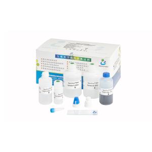 40T/Kit Sperm DNA Fragmentation Kit