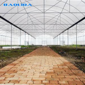 China Tomato Poly Natural Plastic Film Greenhouse / Polyethylene Foil Greenhouse on sale
