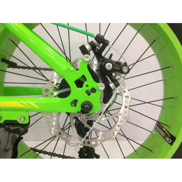 OEM 21 Speed 20 Inch Fat Tire Electric Bike