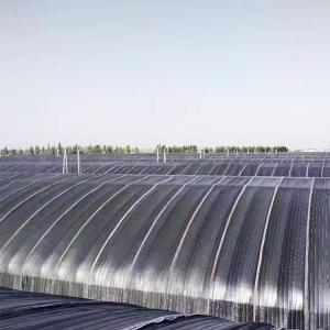 10m*100m Hydroponic Light Deprivation Greenhouse For Hemp Growing