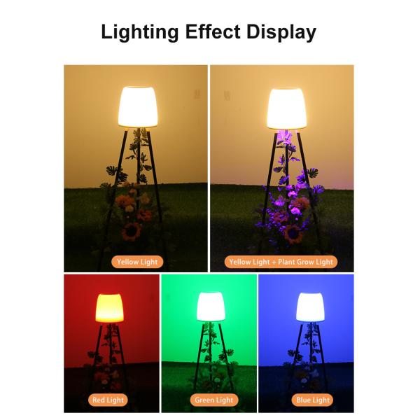 45.7*20.3*107.3cm Solar Lights Garden Decorative 30LM 46*42.5*42.5 CM G.W 9.4KG