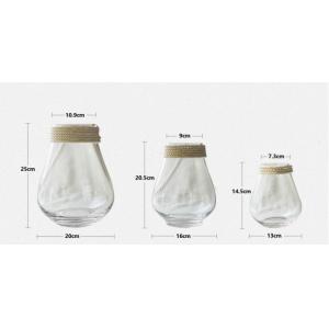 Simple Modern Clear Glass and Rope Glass Vase