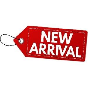 Wireless Video Conferencing PTZ Camera with 3X/10X Optical Zoom and High