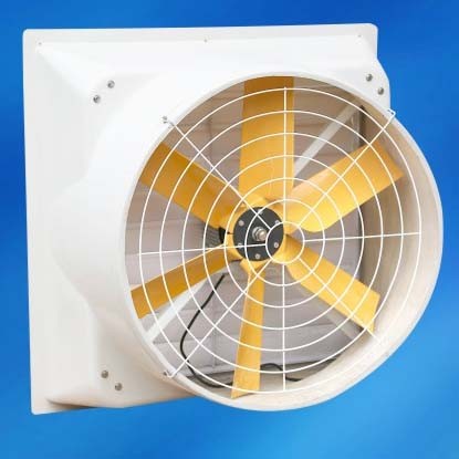 Buy wall mounted handmade shell FRP exhaust fan at wholesale prices