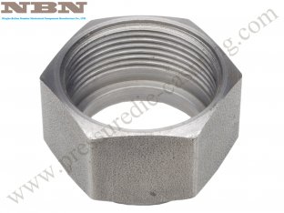 painting, anodizing, powder aluminum material Forging Parts OEM ODM