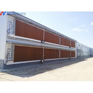 Steel Structure Poultry Shed - Fully Automated Chicken Farming Equipment