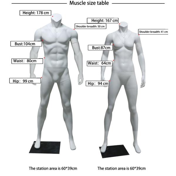 Fiberglass mannequin male full body men mannequin stands