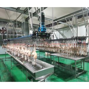 2000bph China Automatic Chicken Processing Plant New Condition Slaughtering
