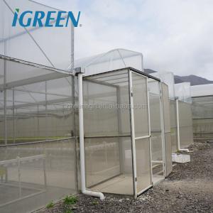 Customized Poly Tunnel Greenhouse Multi Span Agricultural polycarbonate tunnel