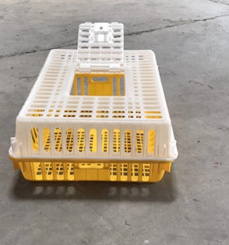 98cm Plastic Chicken Transport Box