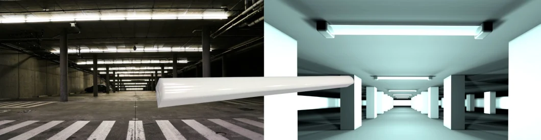 Factory Price 2FT 20W 180lm/W 5 Years Warranty Warehouse, Subway, Workshop, Supermarket, Shopping Mall, Office, Indoor Parking Lot LED Tri Proof Light