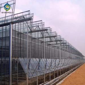 Hanging Load 0.15KN/M2 6.0m Commercial Glass Greenhouse