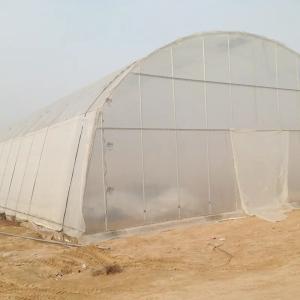 Single-Span Agricultural Greenhouses Solution for Growing Produce