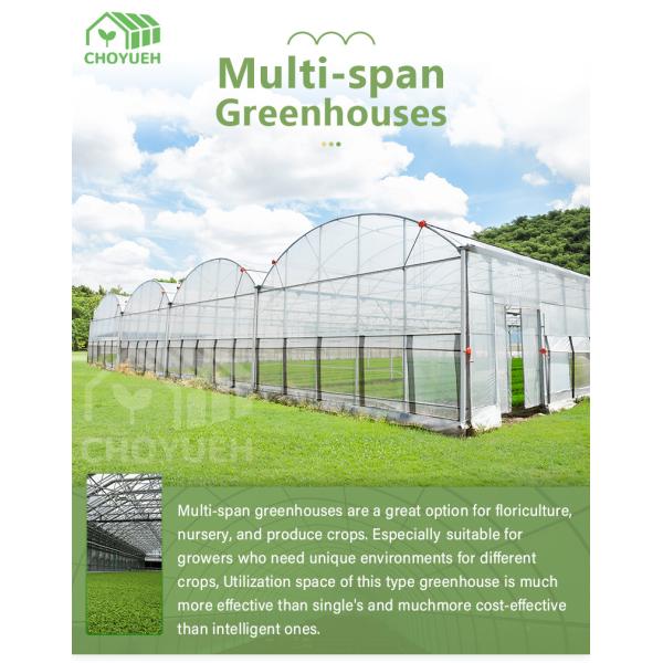 Wind Resistance Multi Span Plastic Film Tunnel Greenhouse With Ventilation System