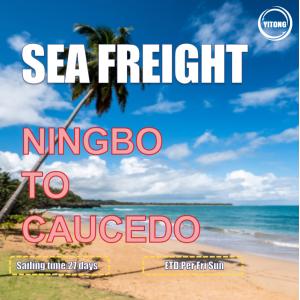27 Days Sea Freight Shipping Agency From Ningbo To Caucedo Dominican Republic