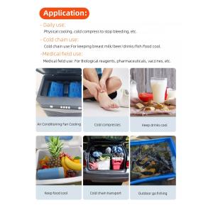 Durable And Reusable PCM Ice Packs With Temperature Range 2-8C In Different
