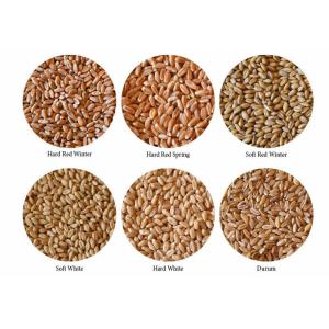 WENYAO CCD LED Lights Grain Color Sorter Machine 2 - 6T/H