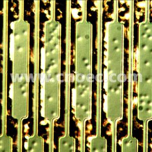 Industry Metallurgical Optical Microscope