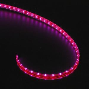 Constant Current Dimmable 60 LEDs, LED Strip light Holiday Lights