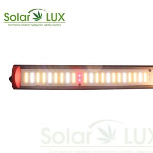 Agriculture 100w Ed Hydroponic Led Grow Lights