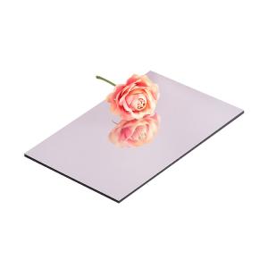 PE Construction Plastic Panel 1220mm-1575mm 3mm-6mm