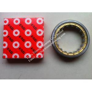 China FAG  Cylindrical Rolller Bearing  RNU1020M1 on sale