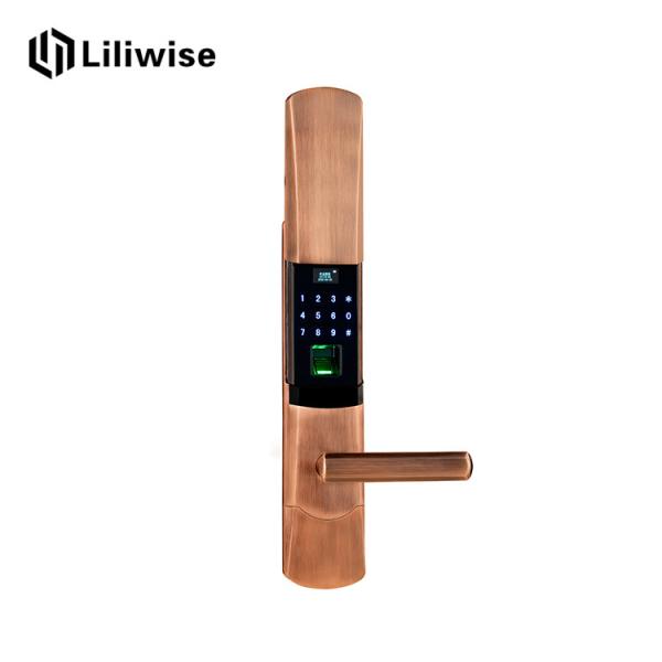 Buy Sliding Electronic Entrance Door Locks , Electronic Bedroom Door Lock With Fngerprint Sensor at wholesale prices