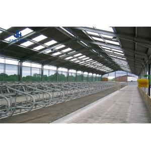 Solid H-shape Steel Beam Hot Dip Galvanised Livestock Shed for Pig Cow Sheep
