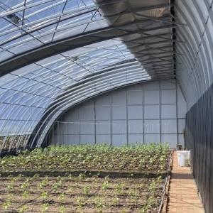 Experience the Benefits of the Flower Sunlight Greenhouse US Currency