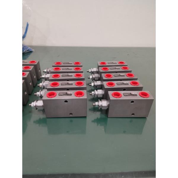 Customized OEM ODM Hydraulic Counter Balance Overcenter Valve With Hard