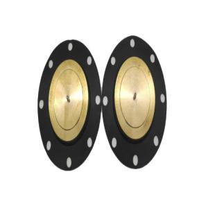 Milton Roy GM Metering Pump Diaphragm PTFE Bonded EPDM Gasket