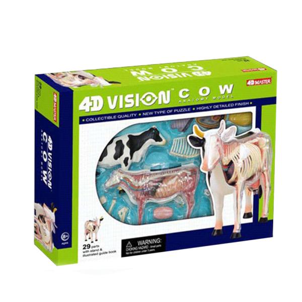 Buy 4d Master Toy 29 Parts Animal Anatomy Model Cattle Specimen For Teaching at wholesale prices