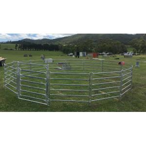 15m Diameter Horse Round Yard Panel 22Pcs incl. 3m tall Gate 30x60mm