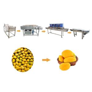 Hot selling Automatic Tomato Processing Line Cleaning Machine by Huafood