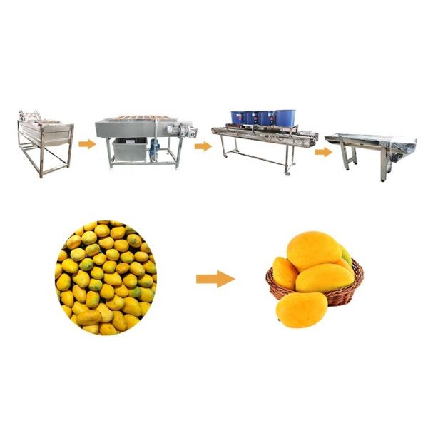 Buy Hot selling Automatic Tomato Processing Line Cleaning Machine by Huafood at wholesale prices