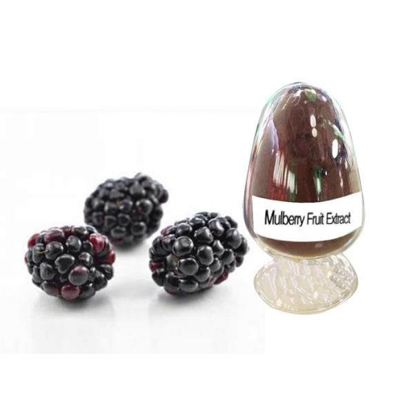 Buy Fruit Mulberry Root Extract , Natural Herbal Extract Anthocyanidins 5% - 25% at wholesale prices