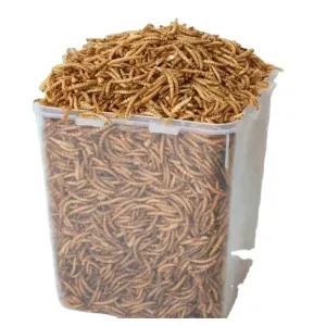 Quality Storage In Cool And Dry Place Mealworm Oil As Pet Food Additives for sale