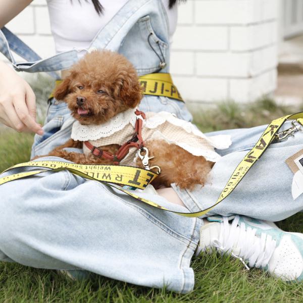 Nylon 3.5x150cm Dog Running Belt , PET Traction Rope Eco Friendly